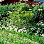 Agriturismo-r&b Corte Dei Gioghi Feriegård