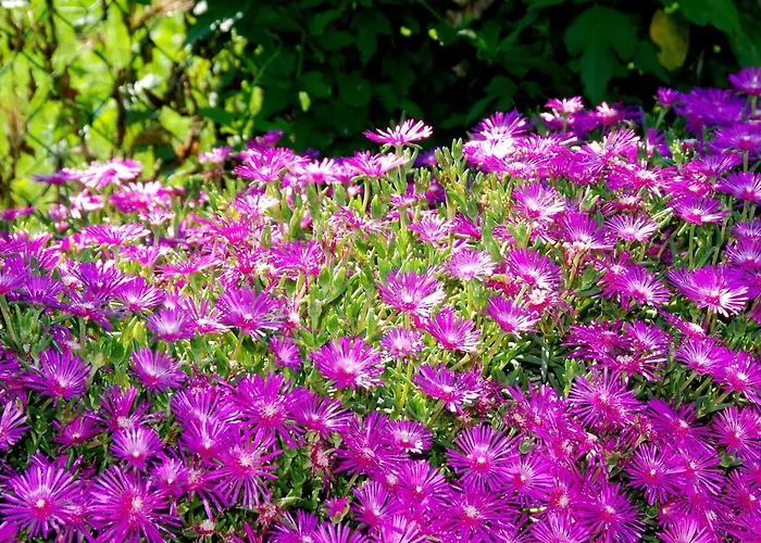 Agriturismo-r&b Corte Dei Gioghi 페라라