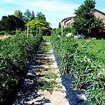 Agriturismo-r&b Corte Dei Gioghi 페라라