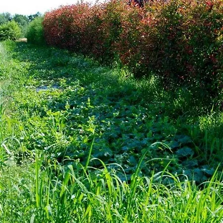 Agriturismo-r&b Corte Dei Gioghi * Ferrara