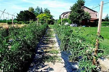 Agriturismo-r&b Corte Dei Gioghi פררה