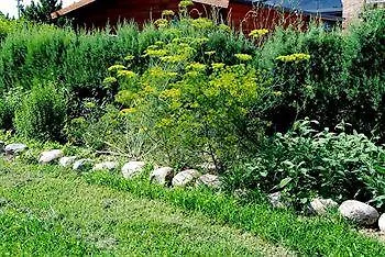 Agriturismo-r&b Corte Dei Gioghi Farm stay